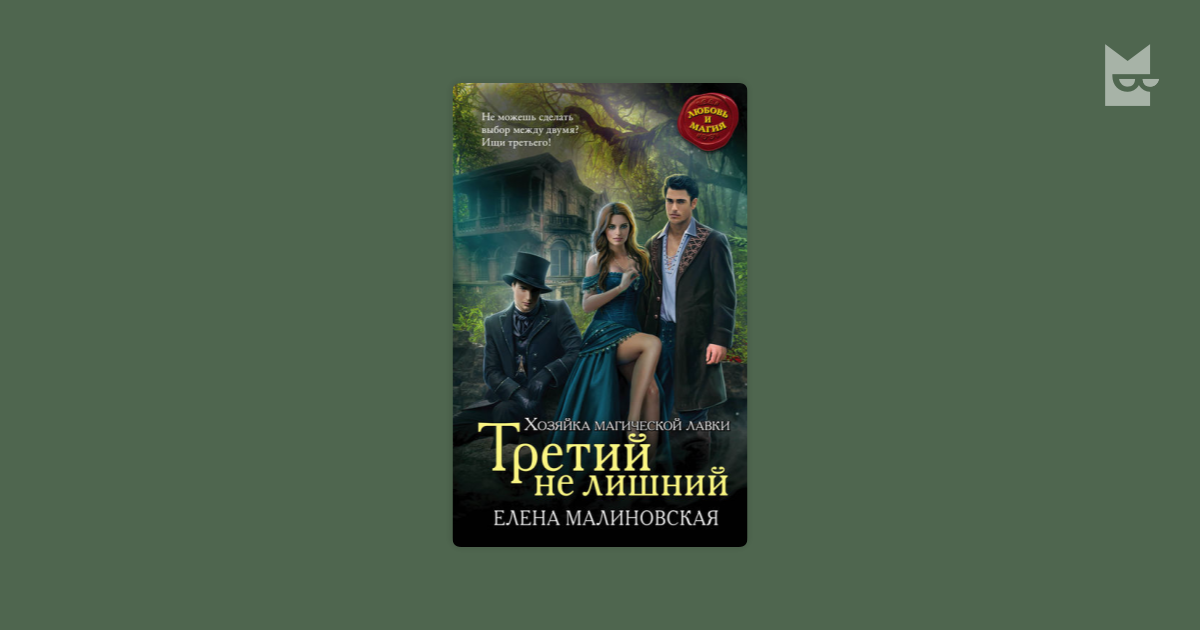 Хозяйка магической лавки книга 2