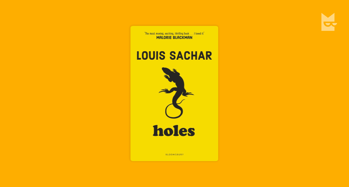 book review about the book holes