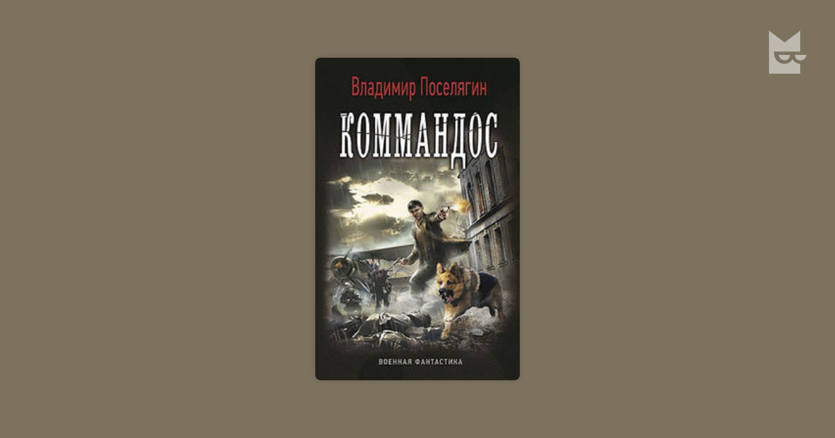 Командир читать поселягин. Поселягин офицер красной армии. Командир красной армии Владимир Поселягин.