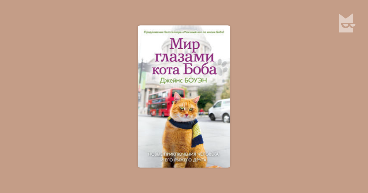 Книга глазами кота. Боуэн мир глазами кота Боба. Боуэн д. мир глазами кота Боба. Мир глазами кота Боба книга. Приключения кота Боба книга.