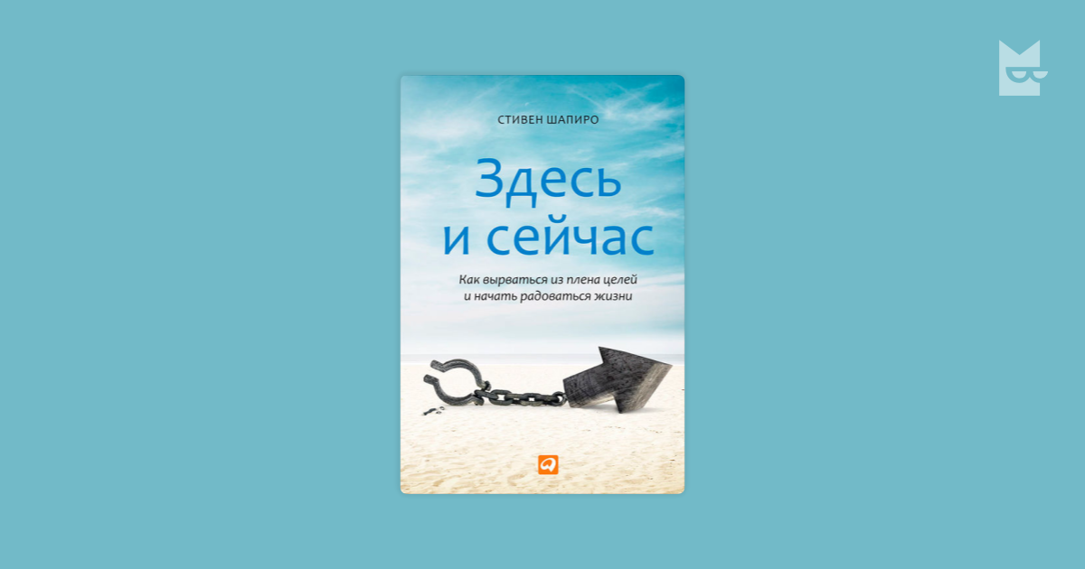 Канал здесь и сейчас. Стивен Шапиро здесь и сейчас. Здесь и сейчас. Как вырваться из плена целей и начать радоваться жизни. Здесь и сейчас книга Шапиро. Стивен Шапиро жизнь без целей.